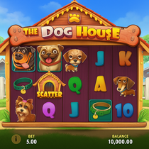 Galacticbets - The Dog House Slot - High RTP Game